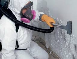 Trusted Lexington, KY Mold Removal & Remediation Experts